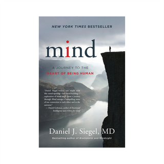 Mind by Daniel J. Siegel, MD, book cover showing a lone figure on a cliff above a misty fjord